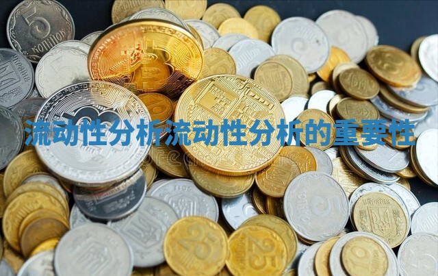 流动性分析_流动性分析的重要性